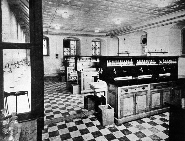 lab